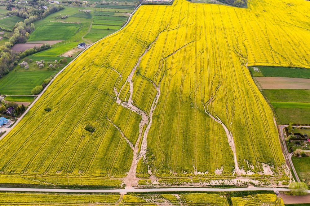 Photograph by Jan Ulicki