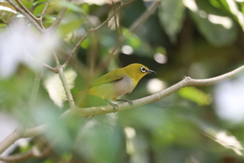 Photograph by Saliya Sampath