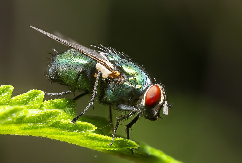 Photograph by Иван Радьков