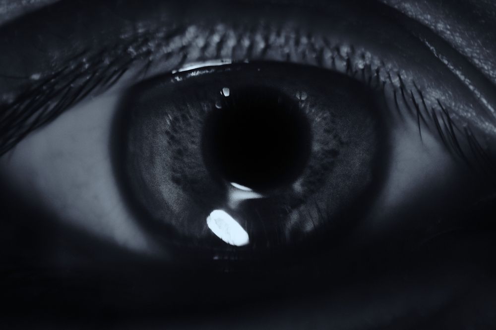 Photograph by Tung Khanh