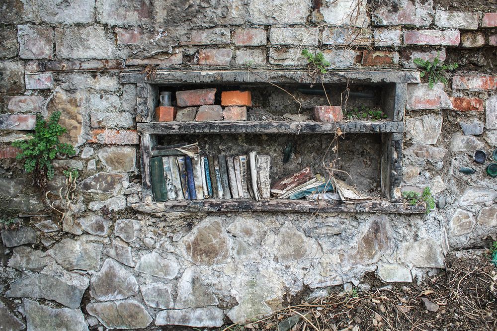 Photograph by Ирина Павленко