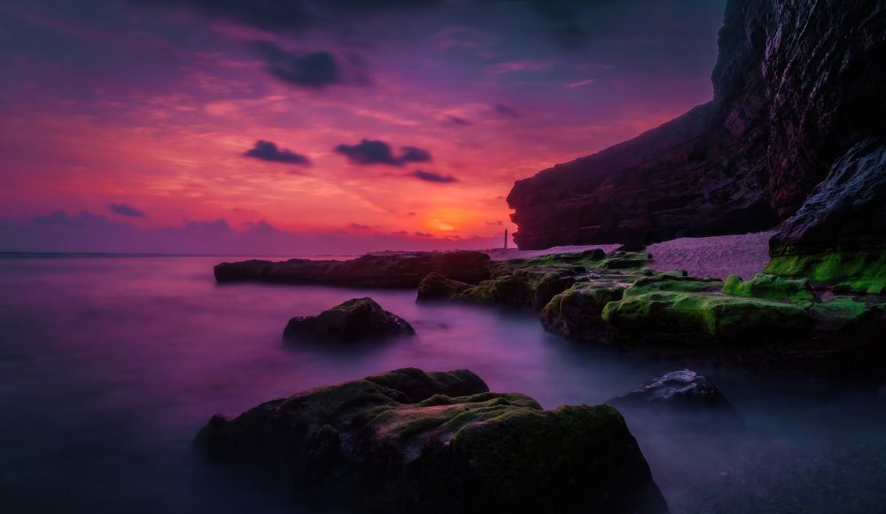 MOSS SEASON IN LY SON ISLAND