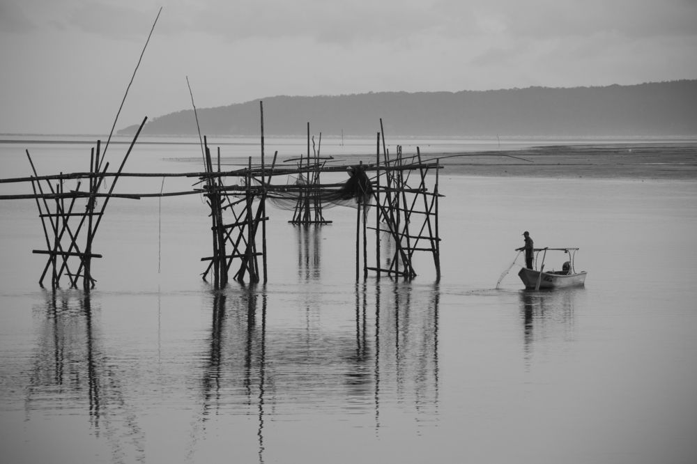 Photograph by Felix Hii