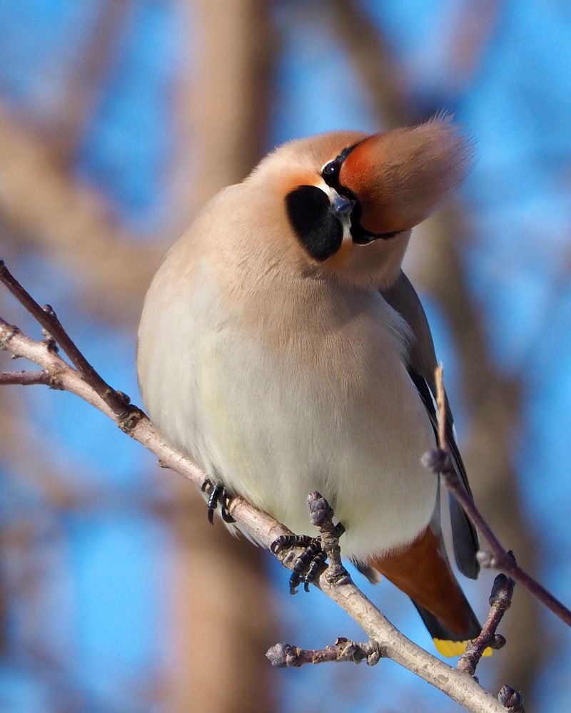 Photograph by Юлия Поршнева