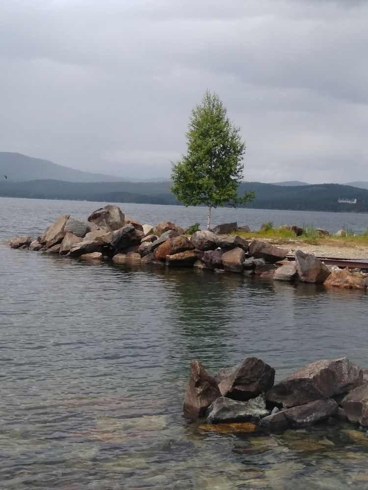 Фотография автора Елена Кобелева