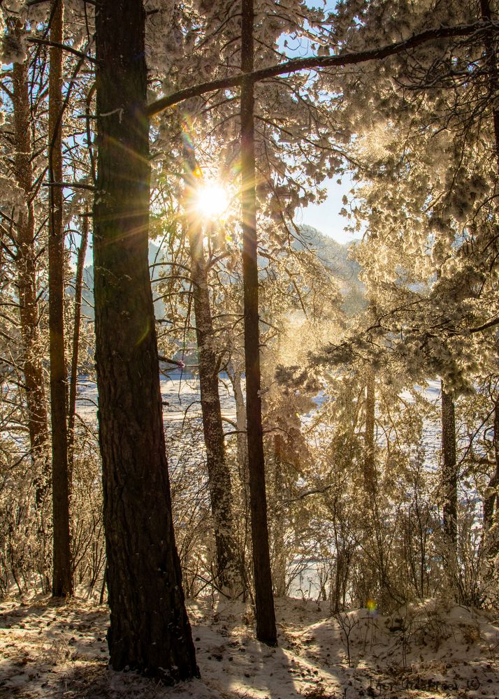 Photograph by Igor Golantsev