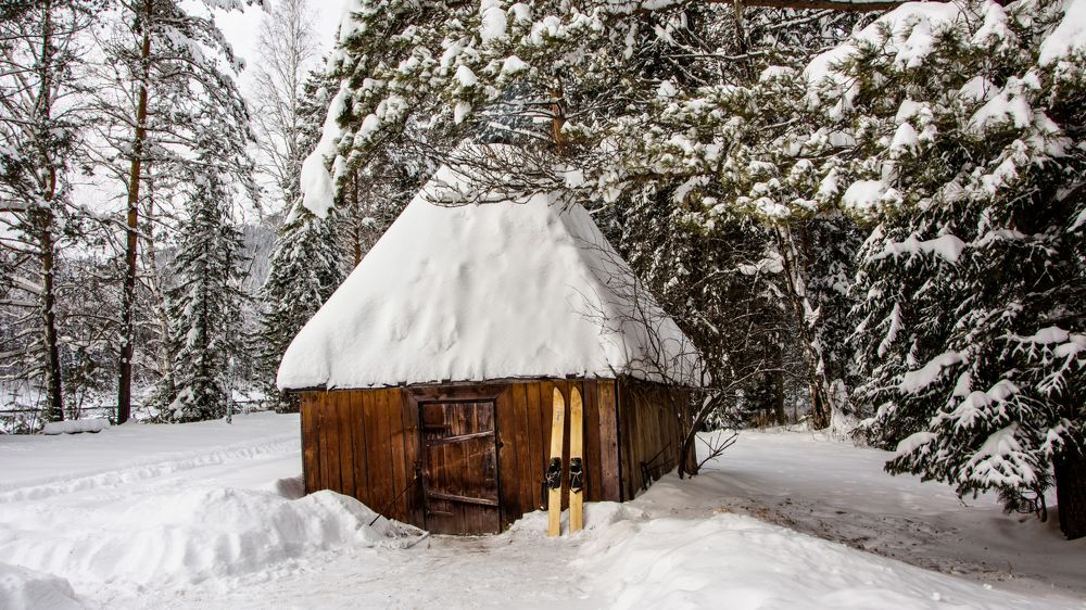 Photograph by Igor Golantsev