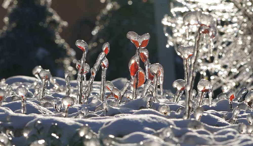 Photograph by Антонов Алексей