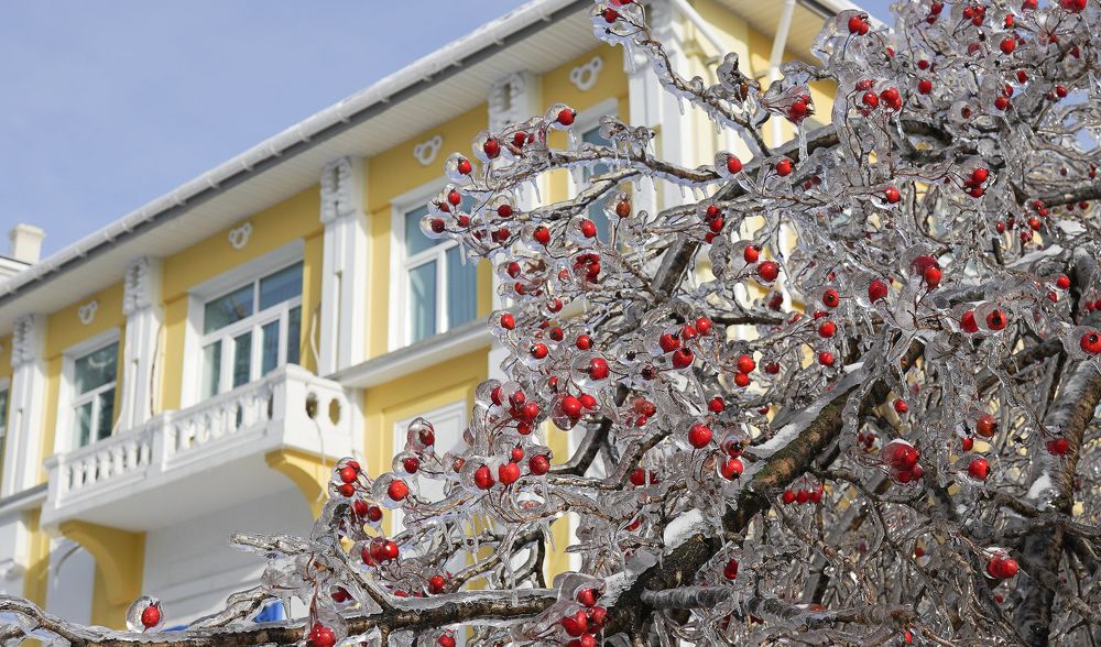 Photograph by Антонов Алексей