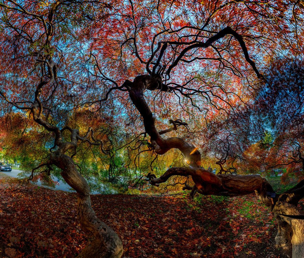 Фотография автора andrey gagarin