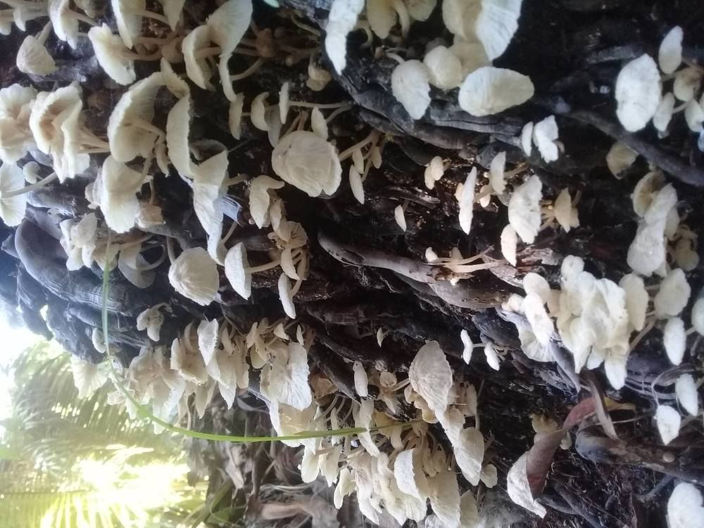 Photograph by Exequiel Estrada