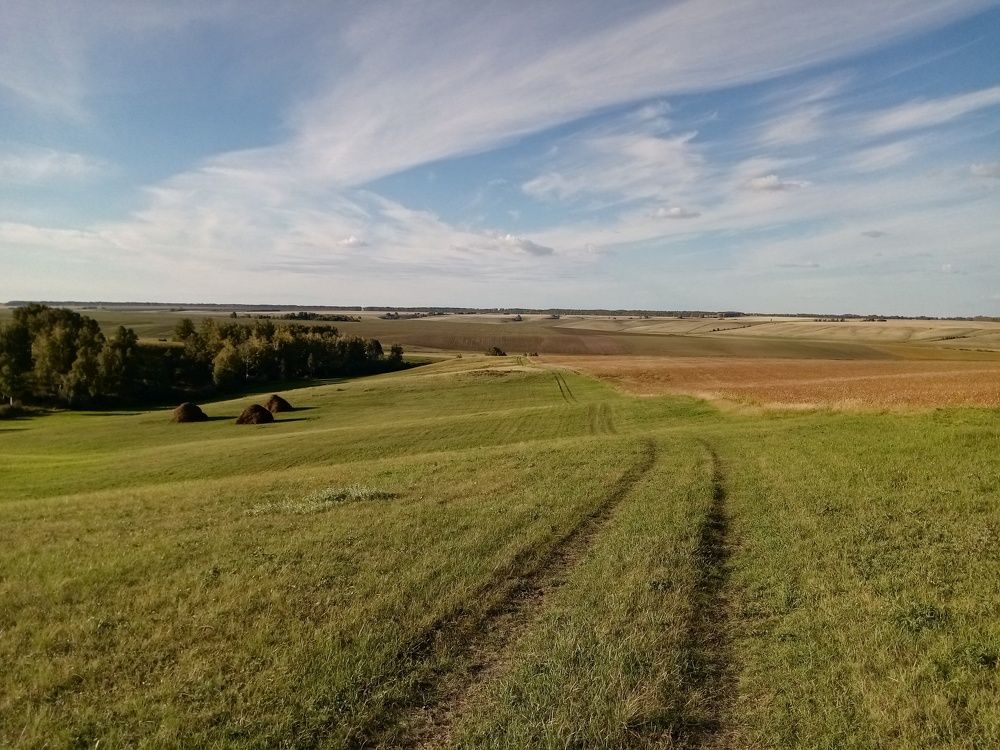 Photo #5842110