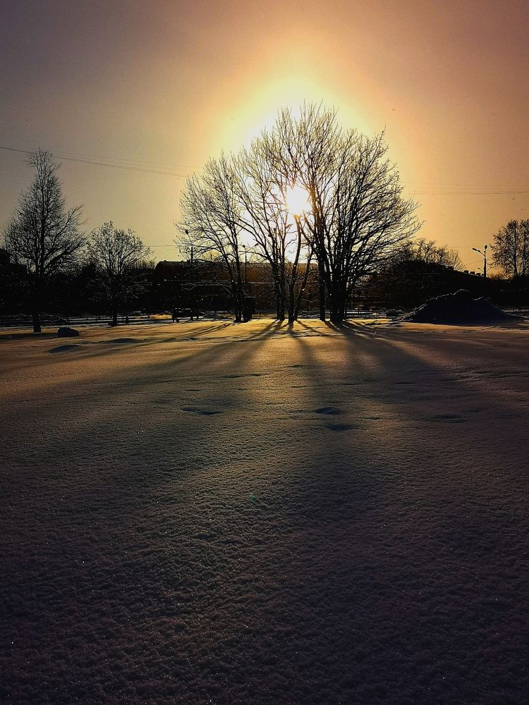 Photograph by Olga Asson