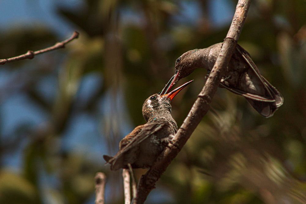 Photograph by Ingrid García