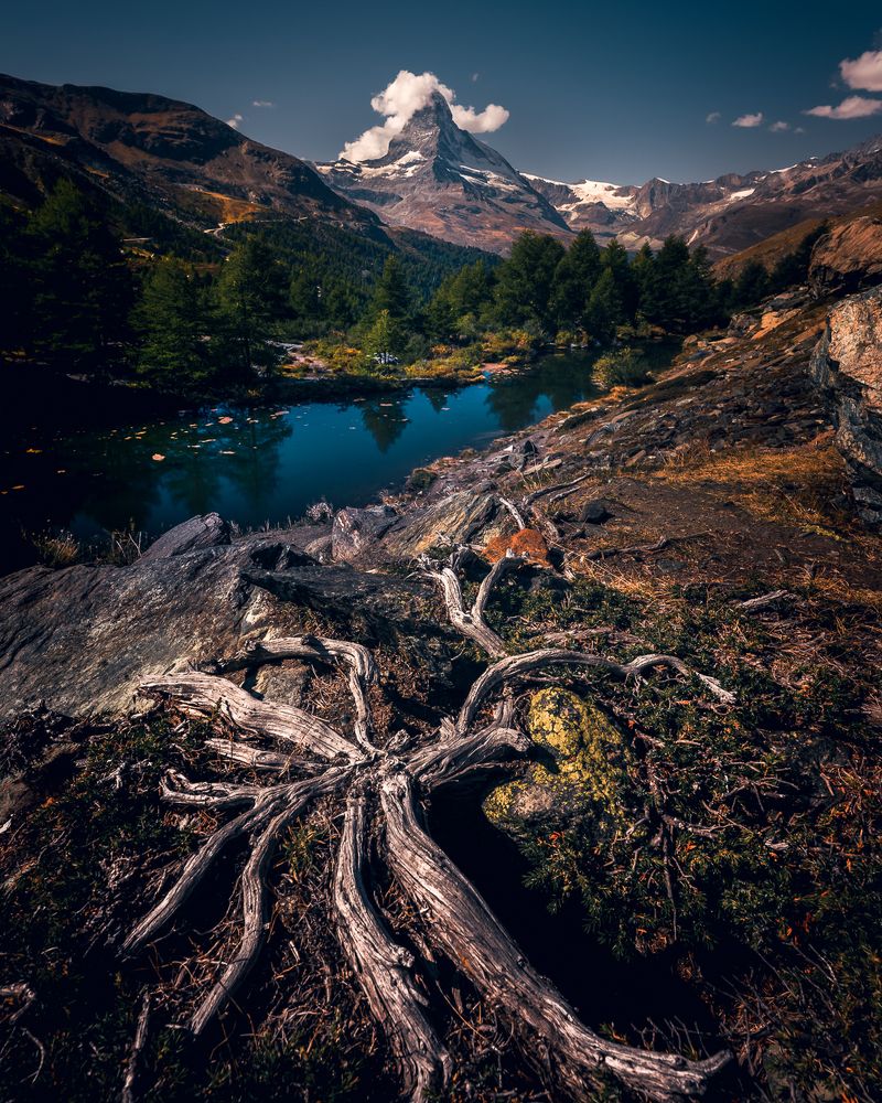 Photograph by Lopes Luis