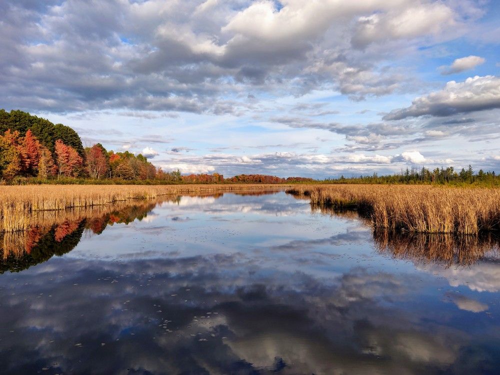 Reflections of Mer Bleu