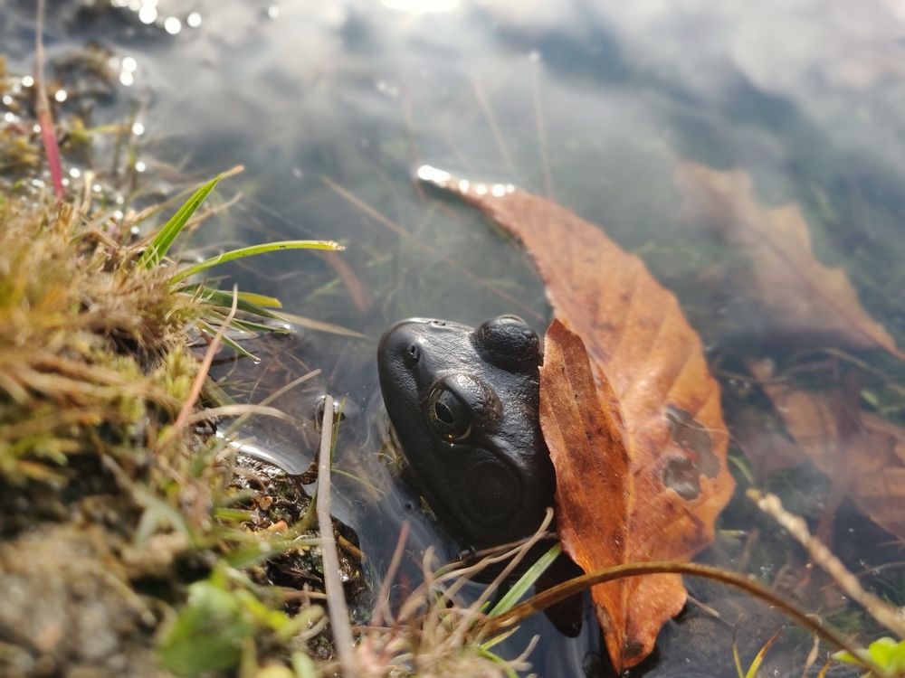 Photograph by Natalia Korobenko