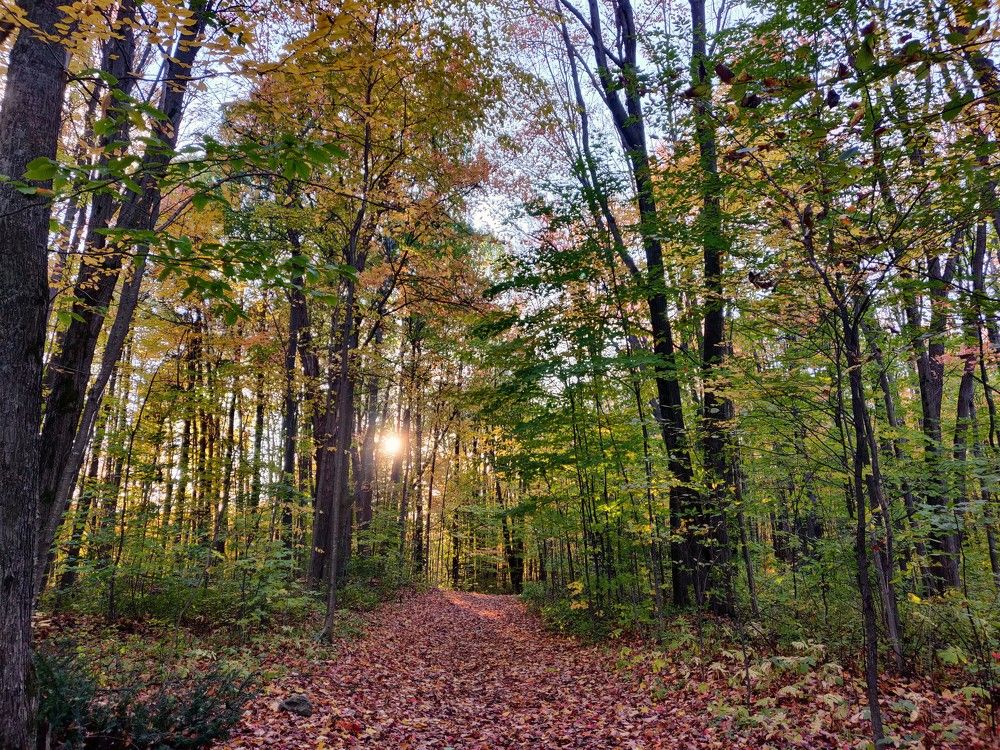 Photograph by Natalia Korobenko