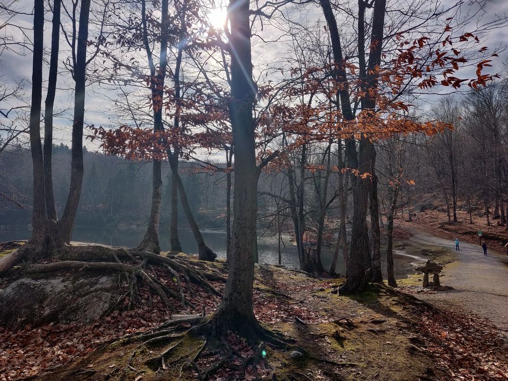 Photograph by Natalia Korobenko