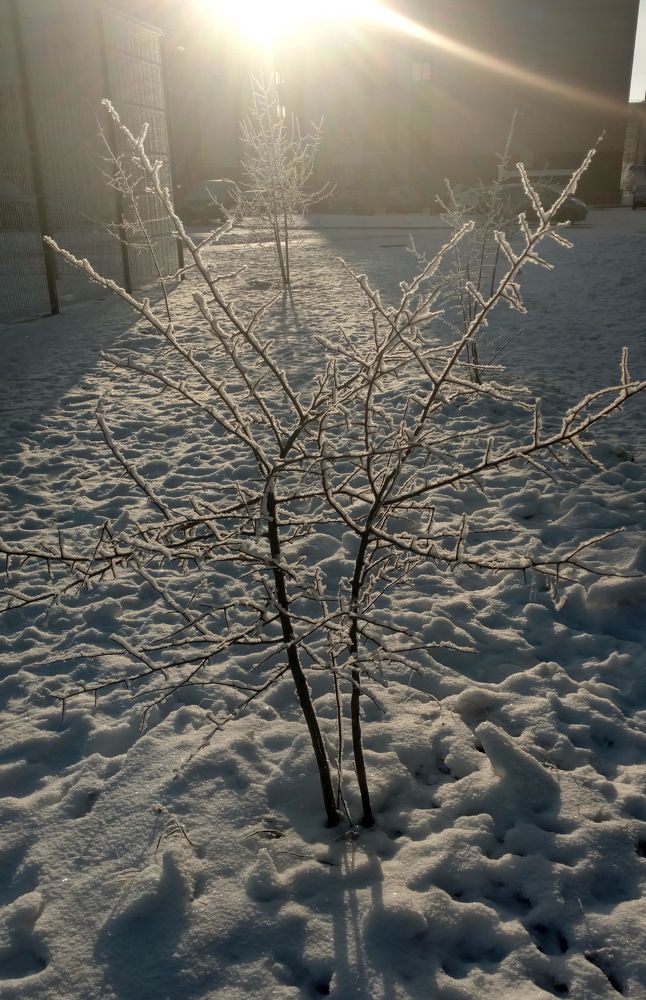 Photograph by Svetlana Litvinova