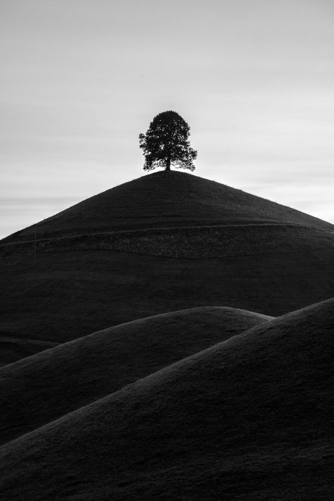 Photograph by Lopes Luis