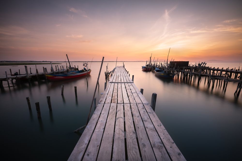 Photograph by Lopes Luis