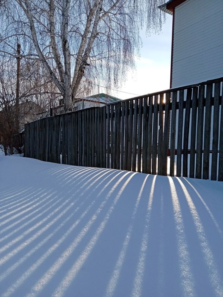 Photograph by Дарья Алексеева