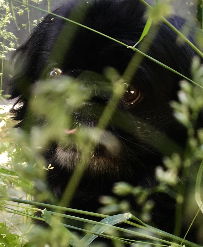 Photograph by Елена Ким