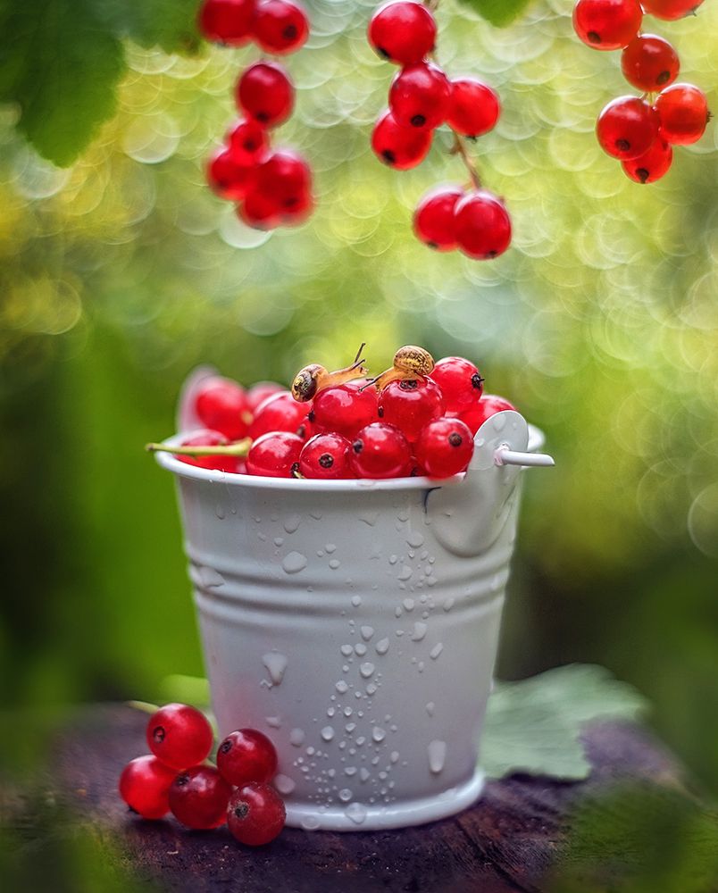 Собираем урожай)