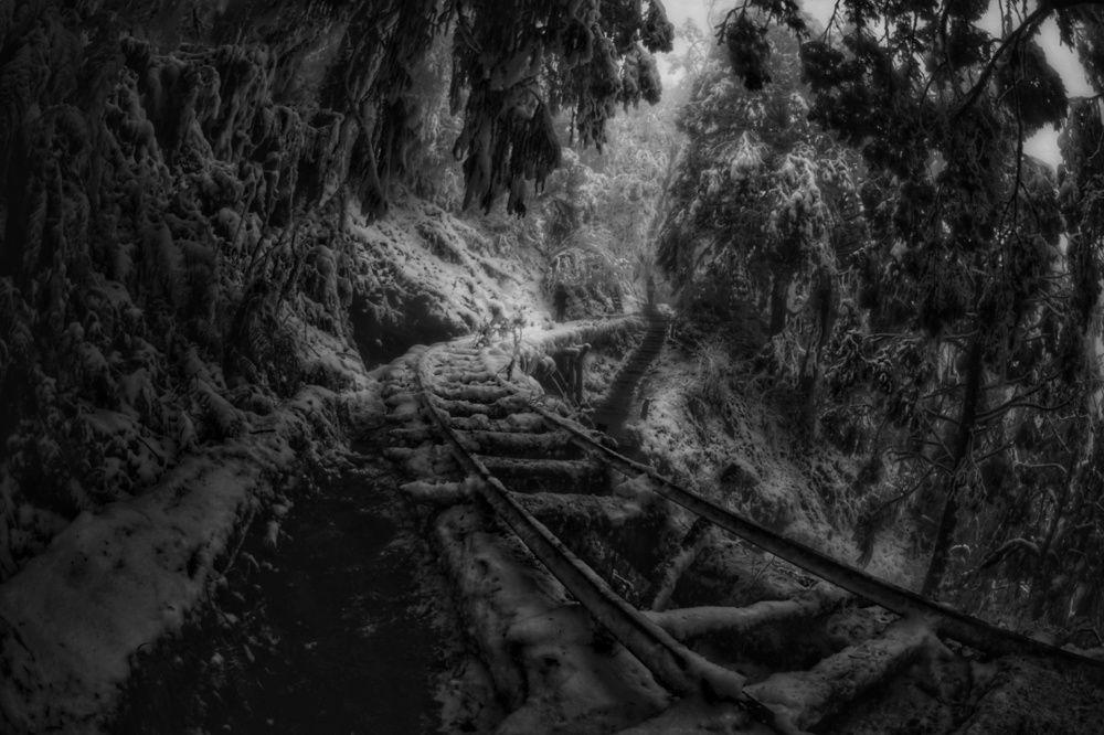 Photograph by Yiru Tsai