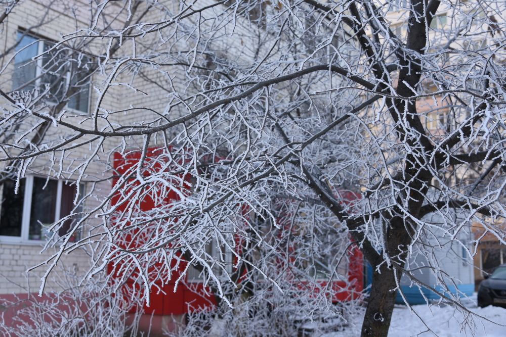 Photograph by Виктория Ганжова