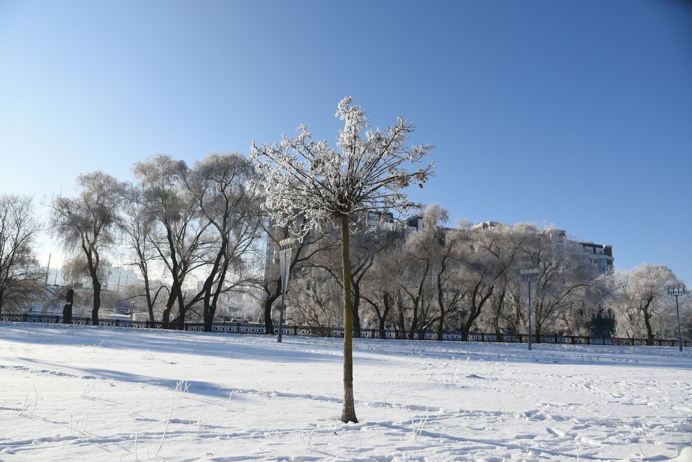 Photograph by Виктория Ганжова