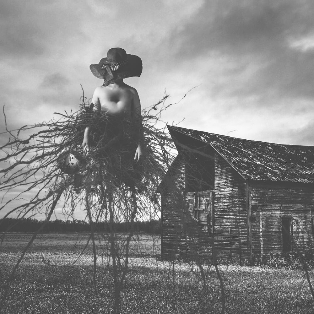 Photograph by barbad