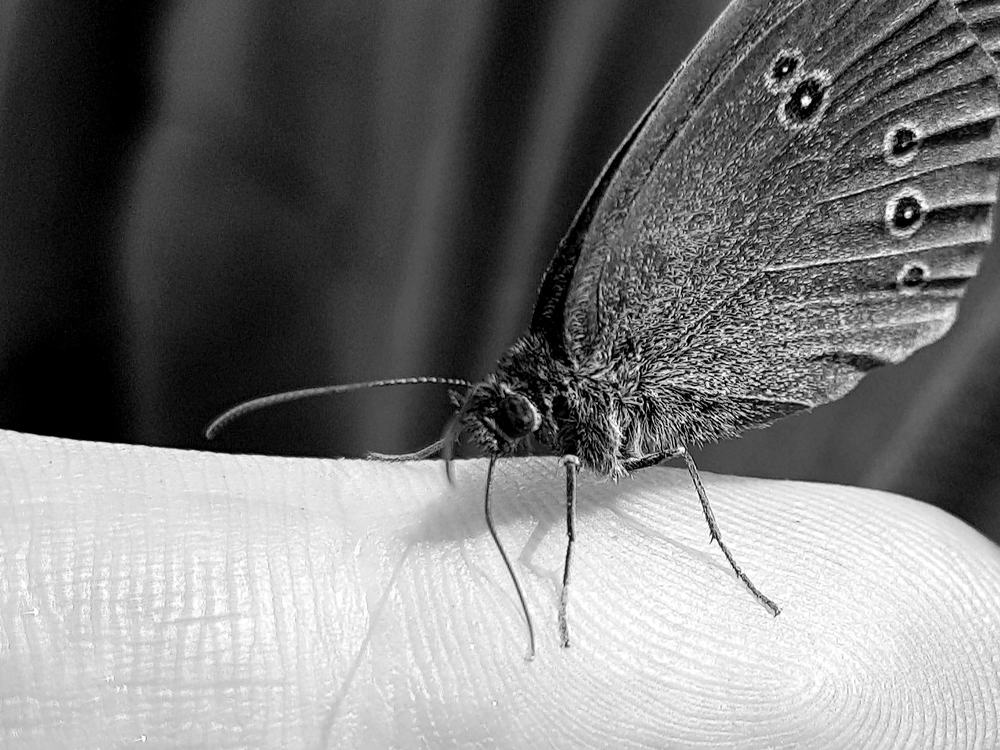 Photograph by Юрий Моргунов