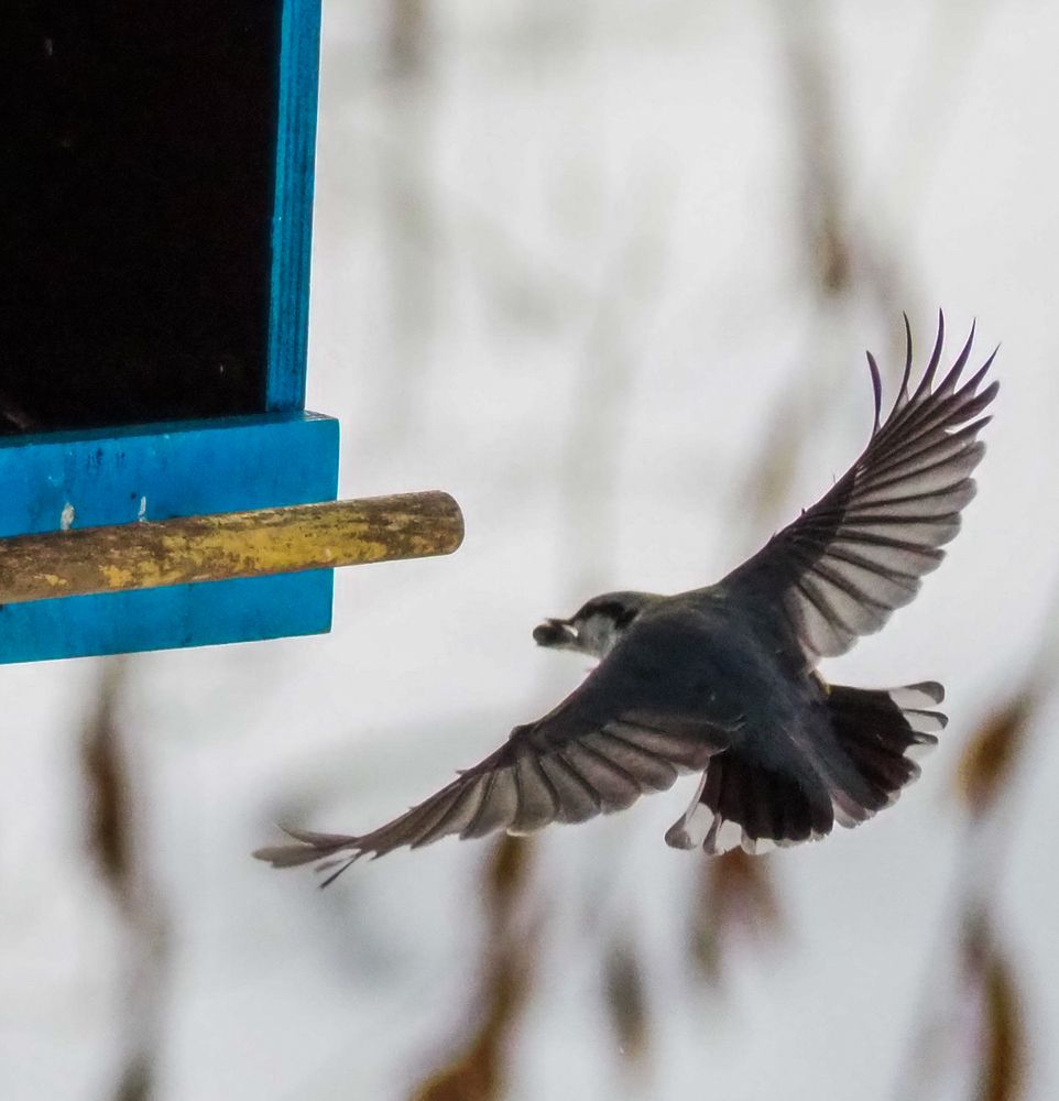 Захожу на посадку