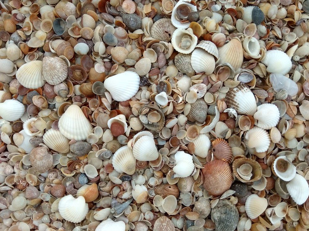 Photograph by Muslimin Muslimin Siddik