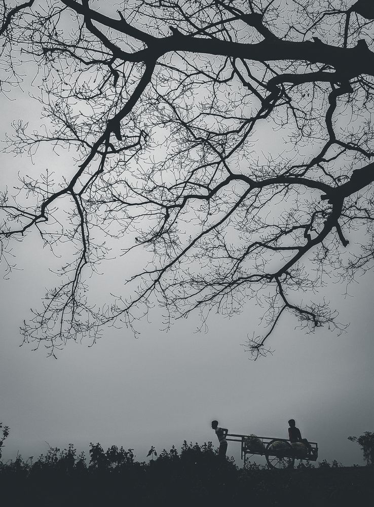 Photograph by Sameer Dash