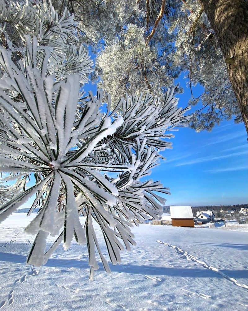 Photograph by Анатолий Андреев