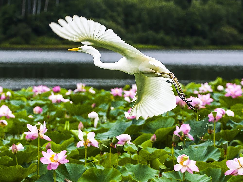 Photograph by Виктор Белименко