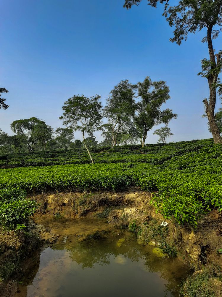 Photograph by Tanzina Ahmed