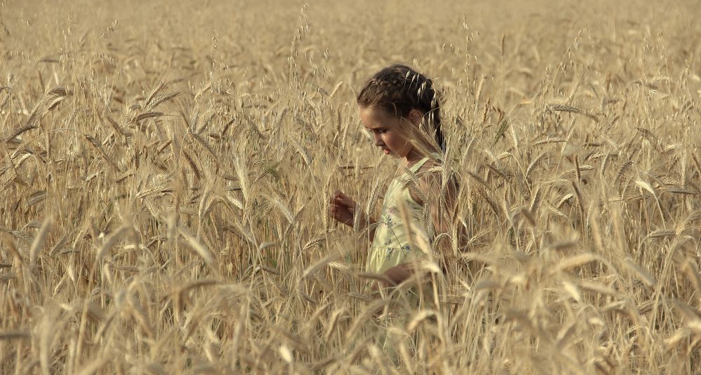 Photograph by Анастасия Пипко