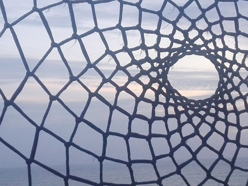 Photograph by Harikrishna j Janardhananpillai