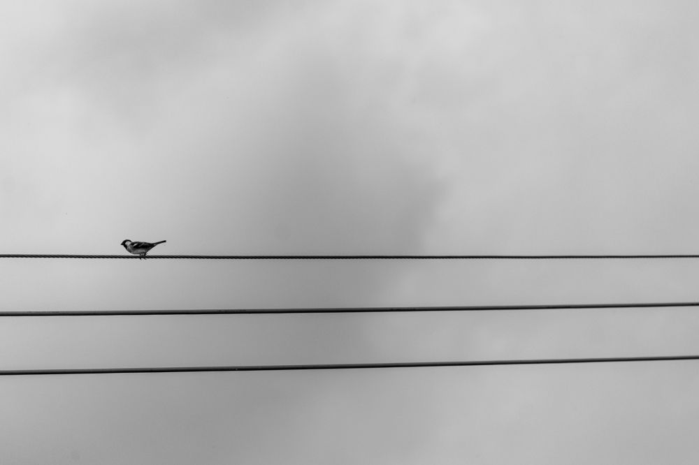 Photograph by Hau Tran Trung