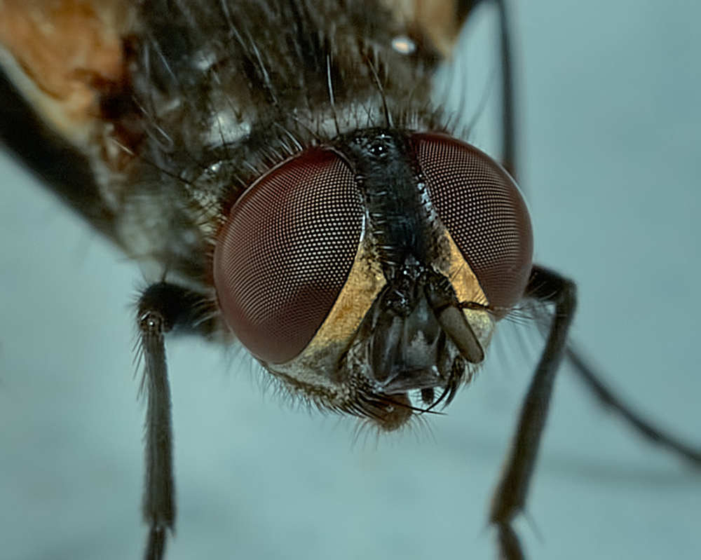 Photograph by Виктор Ноговицин