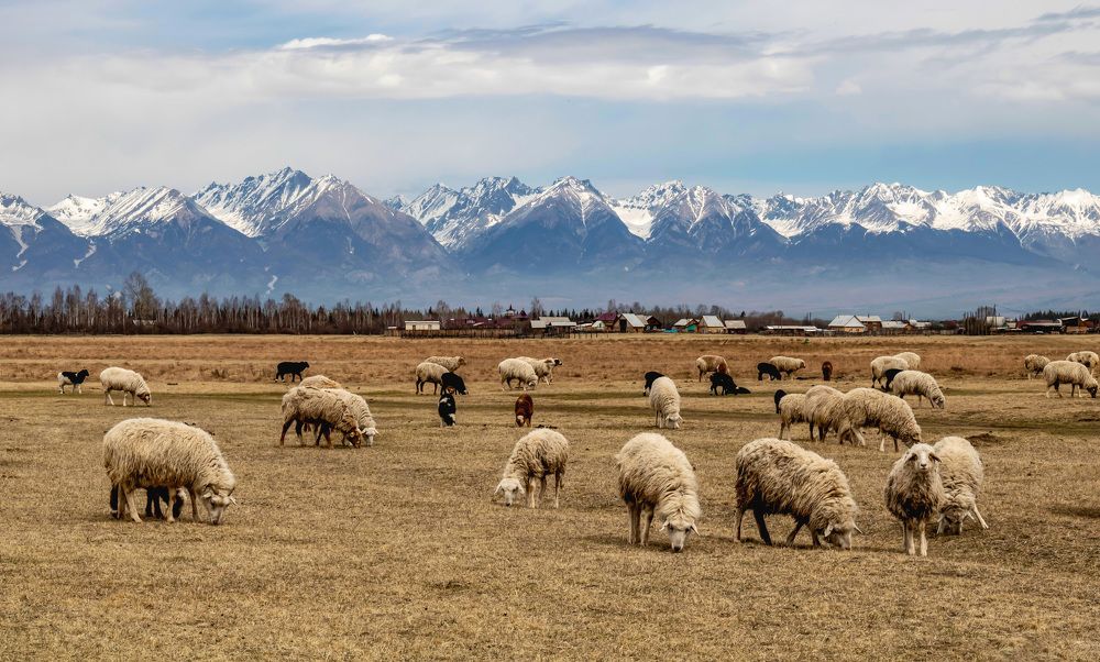 Тункинская долина.