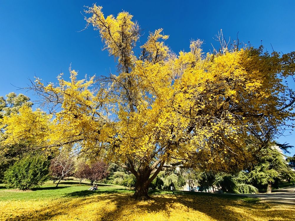 Photograph by Tiago França