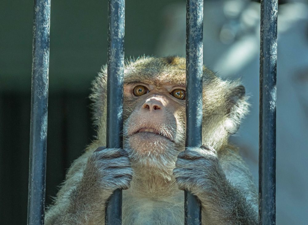 Не забывайте про нас!