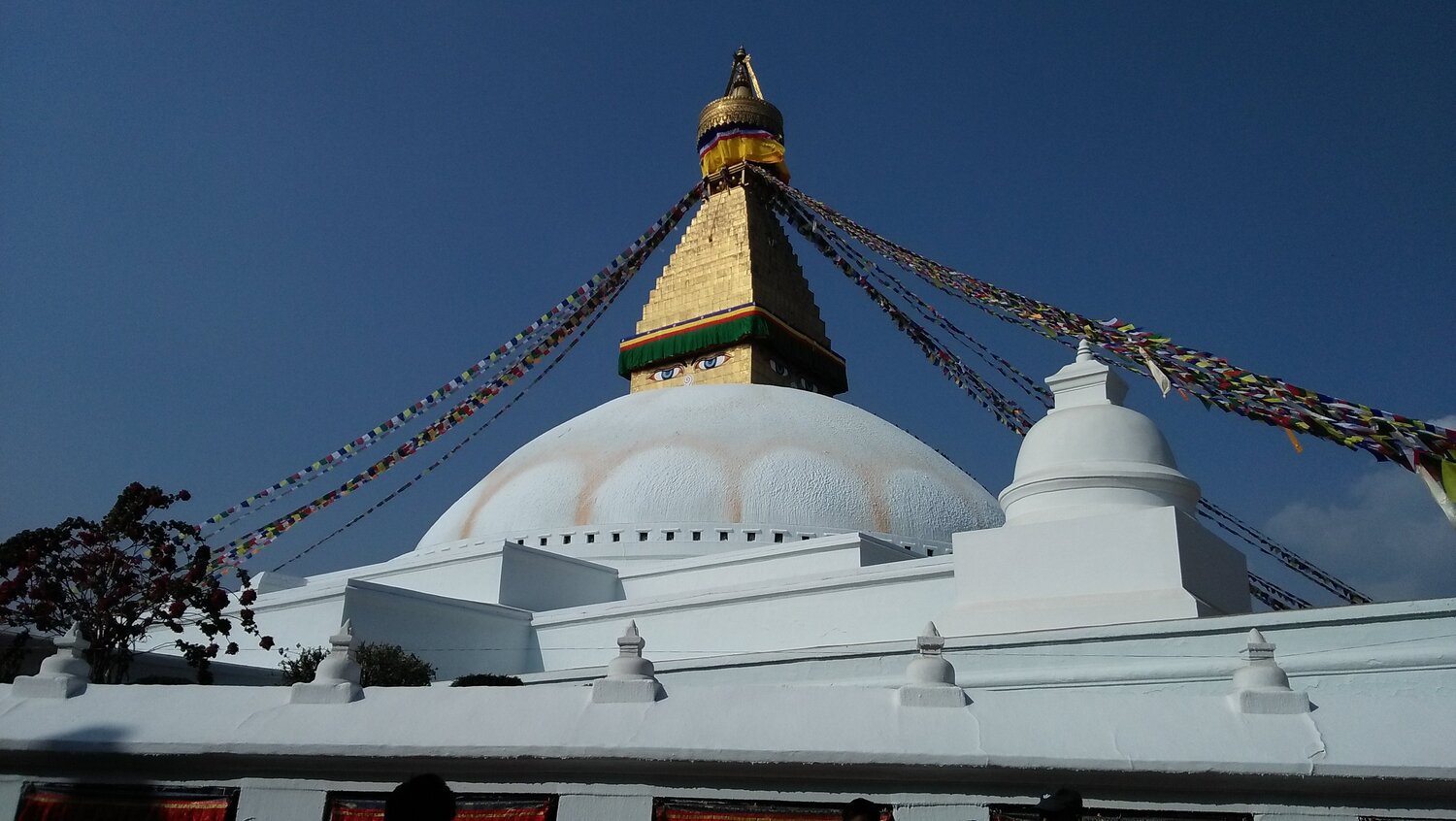 Photo #5842624