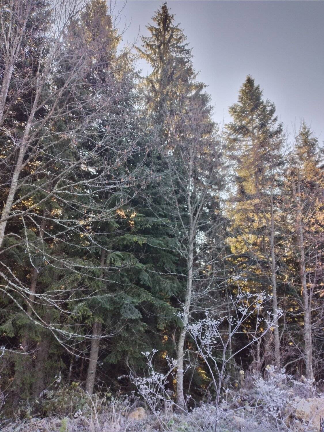 Photo #5842748