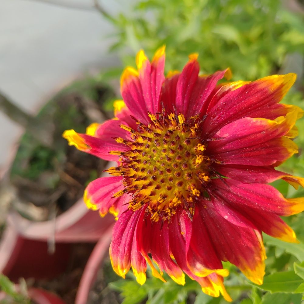 Photograph by Suraj Kumar